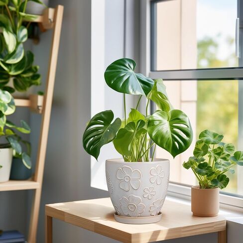 6 Inch Ceramic Plant Pot for Indoor Plants Outdoor Round Planter Flower Pot with Drainage Hole and Saucer for Home Garden Office Decor White in Saudi Arabia