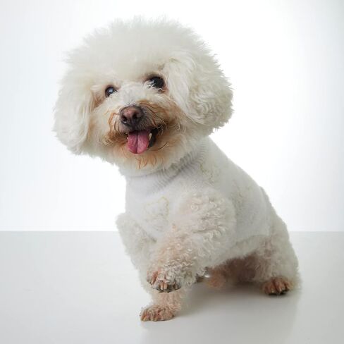 Nourse Chowsing Pure White Turtleneck Dog Sweater - Classic Knit Dog Jumper Coat - Cold Weather Clothes Outfits for Small Dogs (white - S) in Saudi Arabia