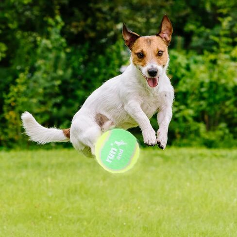 كرات تنس تصدر أصواتًا للكلاب من بوبتيك - ألعاب كرة للكلاب مقاس 2 بوصة للسلالات الصغيرة والمتوسطة، اللعب التفاعلي والتدريب على الجلب، 12 عبوة، متعددة الألوان in Kuwait