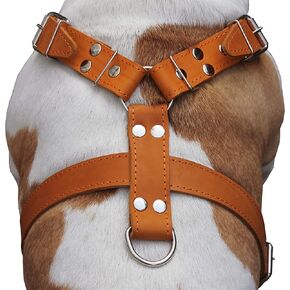 Orange Genuine Leather Dog Harness, Large to XLarge. 33"-37" Chest, 1.5" Wide Straps, Mastiff.
