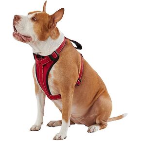 KONG Max Ultra Durable Neoprene Padded Chest Plate Dog Harness Offered by The Barker Company (Red, Large)