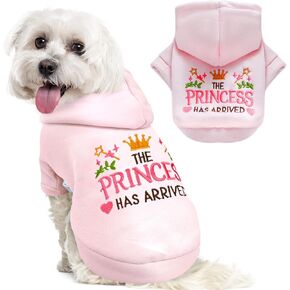 Small Dog Hoodie Clothes Cute Pink Princess Fleece Dog Sweater for Small Dogs Cats Girl Warm Puppy Sweatshirt with Leash D Ring Fall Winter Small Pet Outfits Chihuahua Yorkie Shihtzu(Pink,M)