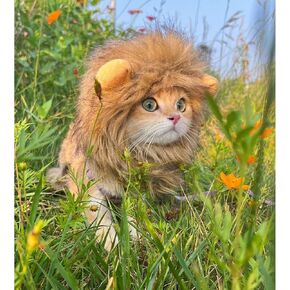 Lion Mane Costume for Cat, Cat Clothes Lion Mane Wig Funny Cat Halloween Costumes, Lion Costume for Cats and Kittens, Ideal for Halloween, Cat Birthday, Cat Cosplay, Cat Outfits (Medium)
