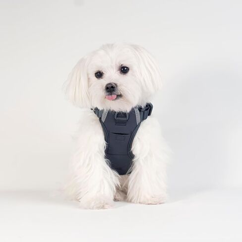 United Pups Dog Harness, Beautiful Reflective Accents, Front Tracker Pocket, No-Choke, All Weather Harness for Small to Large Dogs (Modern Pups Gray, Small) in Kuwait
