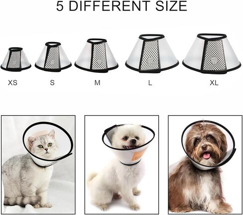 Alfie Pet - Celina 5-Piece Set Adjustable Protective Collars for Pet Cat & Dog in Kuwait