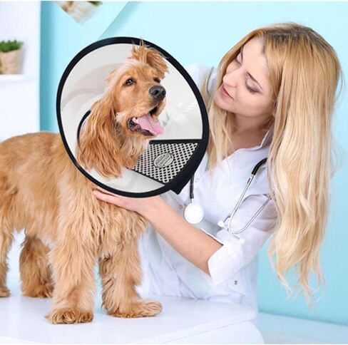 Alfie Pet - Celina 5-Piece Set Adjustable Protective Collars for Pet Cat & Dog in Kuwait