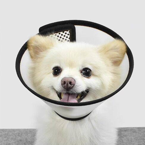 Alfie Pet - Celina 5-Piece Set Adjustable Protective Collars for Pet Cat & Dog in Kuwait