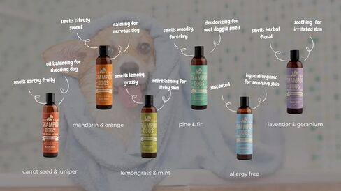 شامبو الكلاب النباتي بالكامل - موازنة الزيت وإزالة تساقط بشرة الكلاب الجافة أو الدهنية - من شركة بلاك شيب أورجانيكس المصنوعة في كندا in Kuwait