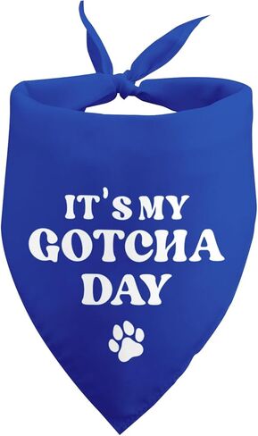 I Stole Their Heart Now I'm Stealing Their Last Name Funny Dog Bandana Adoption Day Gifts for Dogs Pet Scarf for Dog Photo Prop Pet Accessories for Dog Lovers Owner Gift in Kuwait