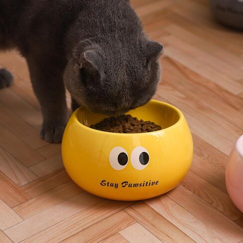 Cute Ceramic Raised Cat Bowl, Elevated Cat Food Bowl Whisker Friendly, Small Tilted Cat Dish for Indoor Cats and Kitten, Yellow in Saudi Arabia