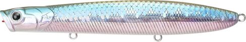 LUCKY CRAFT Gunfish 117, Fishing Lure, Topwater in Saudi Arabia