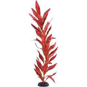 Underwater Treasures Silk Red Hygro - 20"