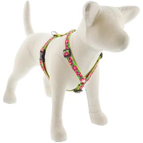 Lupine Adjustable Dog Harness with in 3/4" Wide Petunias 14-24" Girth