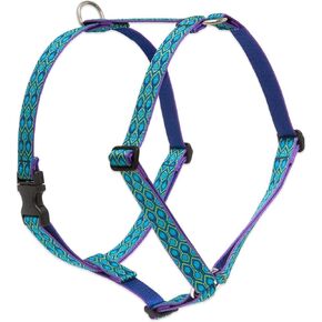 LupinePet Originals 1" Rain Song 24-38" Adjustable Roman Dog Harness for Large Dogs