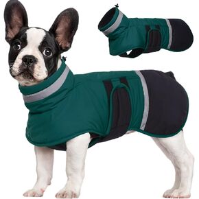 معطف الكلب kuoser، سترة عاكسة مضادة للماء للكلاب مع فتحة للمقود للكلاب الكبيرة، سترة شتوية للكلاب ملابس الحيوانات الأليفة للطقس البارد، سترة ثلج دافئة مقاومة للرياح للكلاب الألمانية لابرادور، أخضر، 2XL in Kuwait