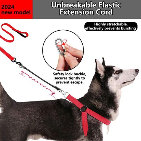 LogFaadCoi 2-Pack موسعات مقود الكلاب شديدة التحمل، ممتصة للصدمات، مشابك قفل أمان، مضادة للانفجار لتقليل إجهاد الظهر، متوافقة مع جميع الياقات والمقاود، مثالية للكلاب الصغيرة والكبيرة in Kuwait