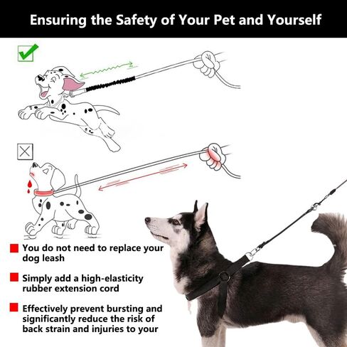 LogFaadCoi 2-Pack موسعات مقود الكلاب شديدة التحمل، ممتصة للصدمات، مشابك قفل أمان، مضادة للانفجار لتقليل إجهاد الظهر، متوافقة مع جميع الياقات والمقاود، مثالية للكلاب الصغيرة والكبيرة in Kuwait