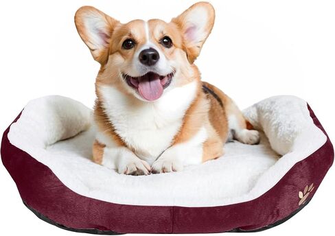 ShellKingdom Medium Dog Bed, Washable Pet Bed, Rectangle Warming Dog Bed for Dogs Up to 35lbs, 23.62 X 19.68INCH (Wine Red) in Saudi Arabia