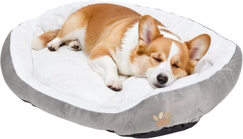 ShellKingdom Medium Dog Bed, Washable Pet Bed, Rectangle Warming Dog Bed for Dogs Up to 35lbs, 23.62 X 19.68INCH (Wine Red) in Saudi Arabia