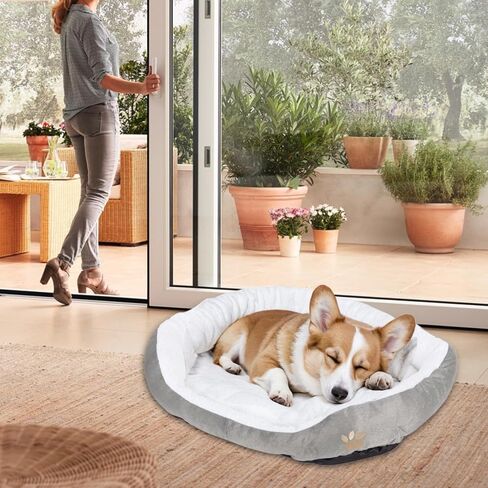 ShellKingdom Medium Dog Bed, Washable Pet Bed, Rectangle Warming Dog Bed for Dogs Up to 35lbs, 23.62 X 19.68INCH (Wine Red) in Saudi Arabia