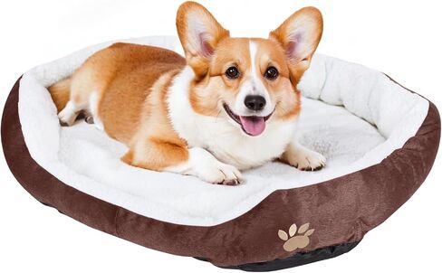 ShellKingdom Medium Dog Bed, Washable Pet Bed, Rectangle Warming Dog Bed for Dogs Up to 35lbs, 23.62 X 19.68INCH (Wine Red) in Saudi Arabia