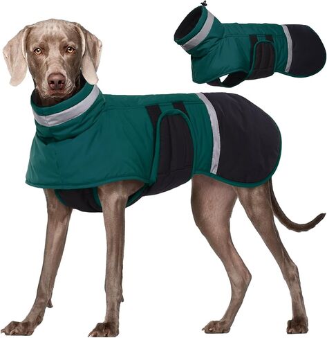 Kuoser Dog Coat, Reflective Dog Waterproof Jacket with Leash Hole for Large Dogs, Dog Winter Jacket Pet Clothes for Cold Weather, Windproof Warm Doggie Snow Vest for Dachshund Labrador, Green, 2XL in Saudi Arabia