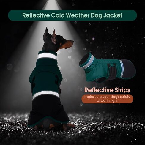 معطف الكلب kuoser، سترة عاكسة مضادة للماء للكلاب مع فتحة للمقود للكلاب الكبيرة، سترة شتوية للكلاب ملابس الحيوانات الأليفة للطقس البارد، سترة ثلج دافئة مقاومة للرياح للكلاب الألمانية لابرادور، أخضر، 2XL in Kuwait