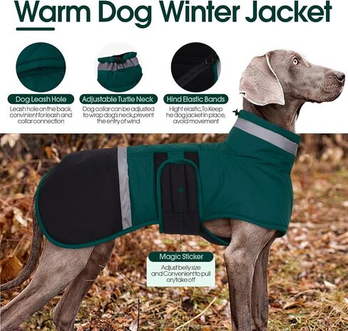 معطف الكلب kuoser، سترة عاكسة مضادة للماء للكلاب مع فتحة للمقود للكلاب الكبيرة، سترة شتوية للكلاب ملابس الحيوانات الأليفة للطقس البارد، سترة ثلج دافئة مقاومة للرياح للكلاب الألمانية لابرادور، أخضر، 2XL in Kuwait