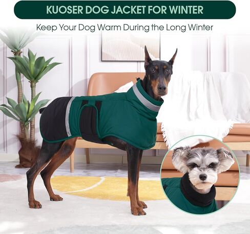 معطف الكلب kuoser، سترة عاكسة مضادة للماء للكلاب مع فتحة للمقود للكلاب الكبيرة، سترة شتوية للكلاب ملابس الحيوانات الأليفة للطقس البارد، سترة ثلج دافئة مقاومة للرياح للكلاب الألمانية لابرادور، أخضر، 2XL in Kuwait