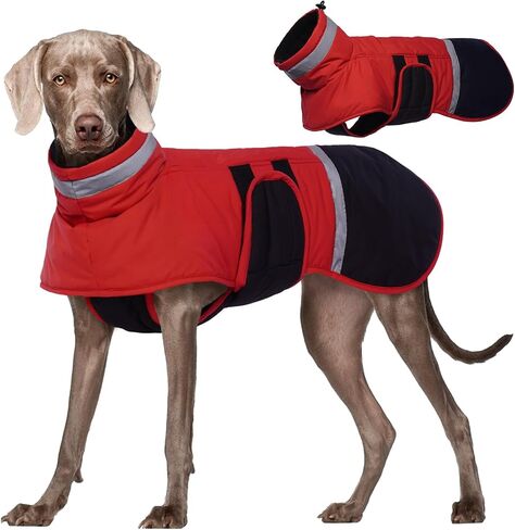 Kuoser Dog Coat, Reflective Dog Waterproof Jacket with Leash Hole for Large Dogs, Dog Winter Jacket Pet Clothes for Cold Weather, Windproof Warm Doggie Snow Vest for Dachshund Labrador, Green, 2XL in Saudi Arabia