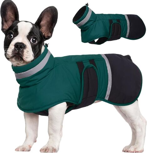 معطف الكلب kuoser، سترة عاكسة مضادة للماء للكلاب مع فتحة للمقود للكلاب الكبيرة، سترة شتوية للكلاب ملابس الحيوانات الأليفة للطقس البارد، سترة ثلج دافئة مقاومة للرياح للكلاب الألمانية لابرادور، أخضر، 2XL in Kuwait