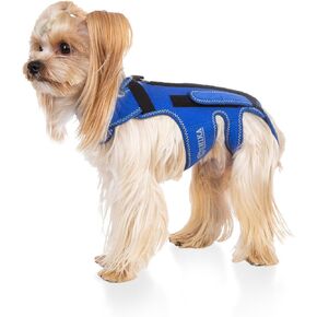 Dog Back Brace for IVDD Dogs Arthritis, Spinal Injury, Back Protector Pain Relief, Spinal Surgical Recovery and Rehabilitation - Pet Back Bracer (Small)