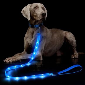 Light Up Dog Leash, 5 Ft LED Dog Leash Rechargeable Pet Leashes Glow in The Dark Dog Lights for Night Walking (Green)