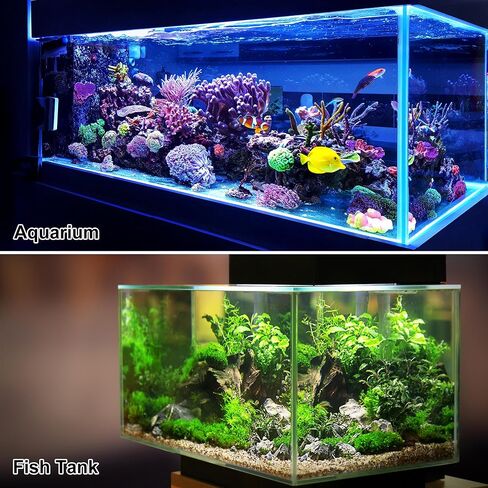 VOCOSTE 2 قطعة نباتات بلاستيكية لحوض السمك، نباتات مائية صناعية لتزيين نباتات المناظر الطبيعية لخزان الأسماك، برتقالي، 4.72 بوصة in Kuwait