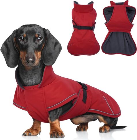 T'CHAQUE Dachshund Coat Waterproof Dog Winter Coat for Dachshund Clothes for Reflective Dog Jacket Sausage Dog Fleece Cold Weather Coat Mini Dachshund Clothes Dog Snowsuit with Warm Fleece Lining in Saudi Arabia