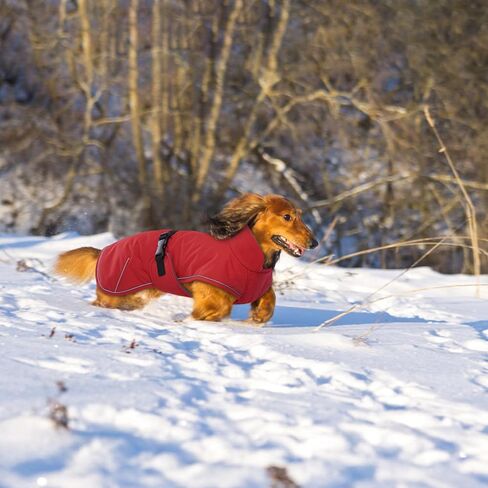 T'CHAQUE Dachshund Coat Waterproof Dog Winter Coat for Dachshund Clothes for Reflective Dog Jacket Sausage Dog Fleece Cold Weather Coat Mini Dachshund Clothes Dog Snowsuit with Warm Fleece Lining in Saudi Arabia