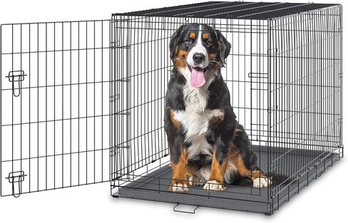 RAMPART Essentials Series Dog Crate with Single Door, Double Latch Door, and Removable Plastic Crate Tray 30 Inch Dog Crate Best Fits Pets with an Adult Weight up to 40 LBS in Saudi Arabia