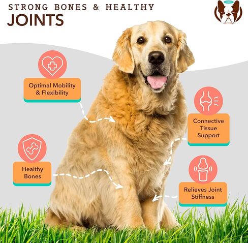 Natural Dog Company Healthy Joints, Skin and Coat Bundle for Dogs, Includes (1) 16 oz Bottle Skin and Coat Oil, (1) 16 oz Bottle Liquid Glucosamine, Food Topper, Dog's Fish Oil Supplement in Saudi Arabia