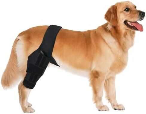دعامة ركبة الكلاب من أجل ACL، وCCL، والرضفة المريحة، ودعم الساق الخلفية - أفضل دعامة لتمزق الرباط الصليبي الأمامي، وإصابة الأربطة، ودعم الورك، والتعافي - دعامات الركبة للكلاب in Kuwait