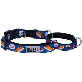 RC Pet Product Adjustable Easy Clip Web Training Collar | Medium, 1-Inch, Sushi