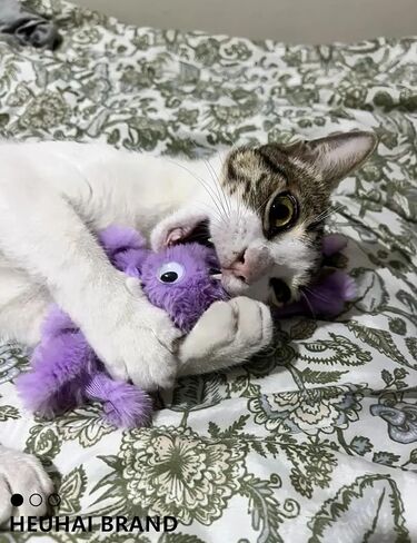Octopus Catnip Toys 3-Pack + Large Cat Ball & 2 Catnip Packs - Indoor Kitten Toys for Chewing, Cleaning Teeth & Reducing Boredom in Saudi Arabia