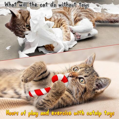 MALLMALL6 3Pcs Christmas Candy Cane Catnip Toys Gift for Cat, Indoor Cat Chew Bite Kick Plush Catmint Pet Toys Supplies for Cat Lover Xmas Gifts, Cute Interactive Cat Toy for Pet Presents (Tricolor) in Kuwait