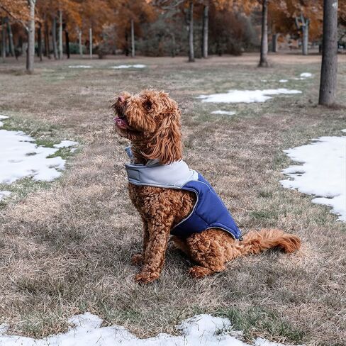 GoTags Dog Puffer Coat Vest, Personalized Cold Weather Puffy Vest with Custom Embroidered Pet Name, Warm Dog Clothes for Winter for Large Small Medium XS Dogs (Bright Red, XXXL) in Saudi Arabia
