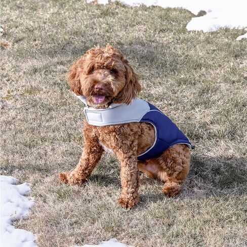 GoTags Dog Puffer Coat Vest, Personalized Cold Weather Puffy Vest with Custom Embroidered Pet Name, Warm Dog Clothes for Winter for Large Small Medium XS Dogs (Bright Red, XXXL) in Saudi Arabia