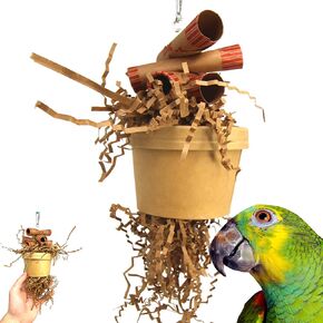 Bonka Bird Toys 3867 Duo Money Pot Medium Large Bird Toy Treat Box Foraging Paper Chew Coin Tube Shred African Grey Amazon Conures and Other Similar Birds