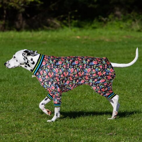 LovinPet Dog Jumpsuit, Post Operative Protection Dog Pajamas, Coverage Dog Jumpsuit, Lightweight Pretty Sweet Focal Flowers Black Prints as Dog Sweater Bottoming for Dogs Apparel XXL in Saudi Arabia