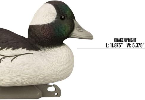 Higdon Outdoors Standard Bufflehead Duck Decoys، جميع أنواع البط، مملوءة بالرغوة in Saudi Arabia