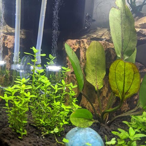 Bilindasly Aquarium CO2 Diffuser Atomizer U Shape Fish Tank CO2 Regulator Check Glass Disc Supply Accessories for Aquarium Planted Tank with U-Shaped Tube,Check Valve, Suction Cup in Saudi Arabia