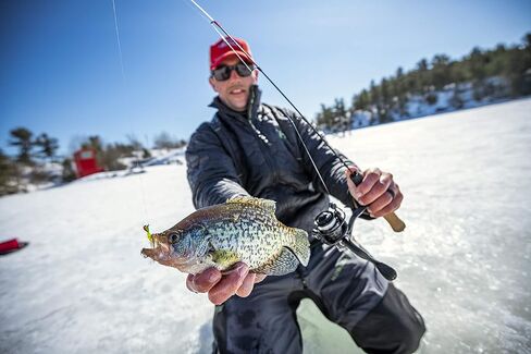شكسبير الجليدي إسقاط مضمنة بكرة الصيد الجليد وقضيب التحرير والسرد in Kuwait