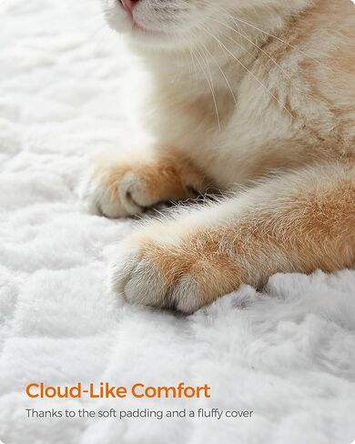 مجموعة Feandrea Clickat - طقم قطع غيار كهف القطط رقم 010، وسادة بديلة، ناعمة ومريحة، يمكن غسلها في الغسالة، مع أدوات تثبيت بخطاف وحلقة، سهلة التركيب والفصل in Kuwait
